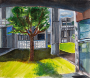 学校の一部　上田市立第一中学校　木次　未夏さん