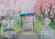 飯沼諏訪神社の春、～桜と梅～　飯田市立上郷小学校　金田 幸穂さん