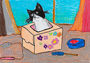 はこに入っているねこ　茅野市立永明小学校　五味 陽菜さん