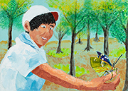 ボクにとまったオオムラサキ　長野市立西条小学校　長沢 知哉さん